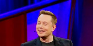 Elon Musk quanto guadagna