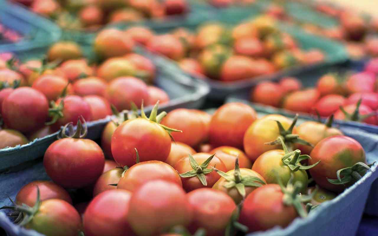 sardegna, corsa ai supermercati