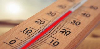 studio temperatura corpo