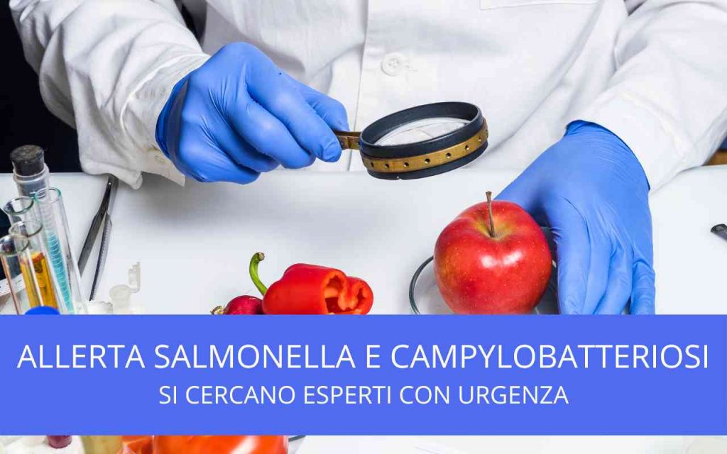 ALLERTA SALMONELLA E CAMPYLOBATTERIOSI SI CERCANO ESPERTI CON URGENZA