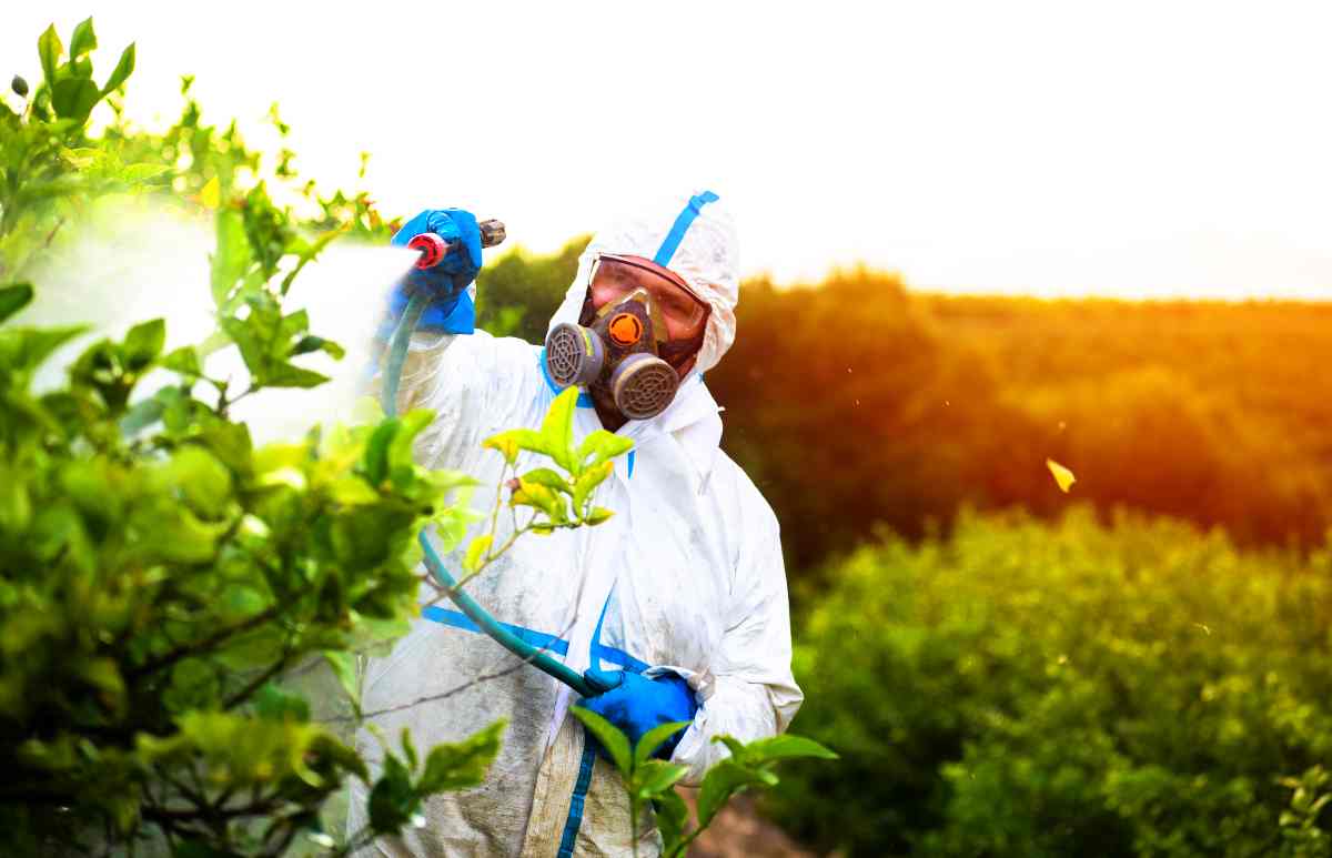 avvelenamento da pesticidi