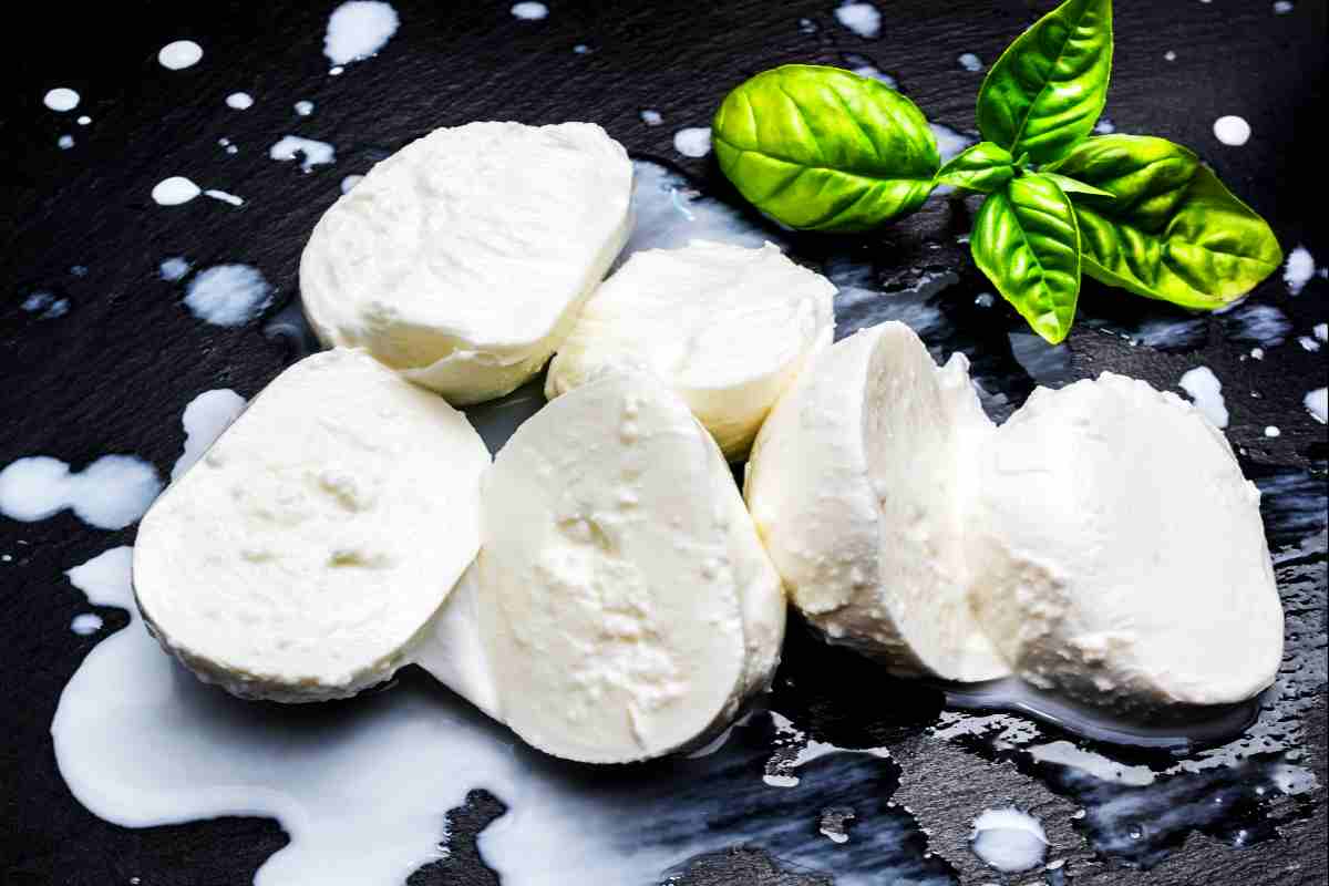 mozzarella senza lattosio