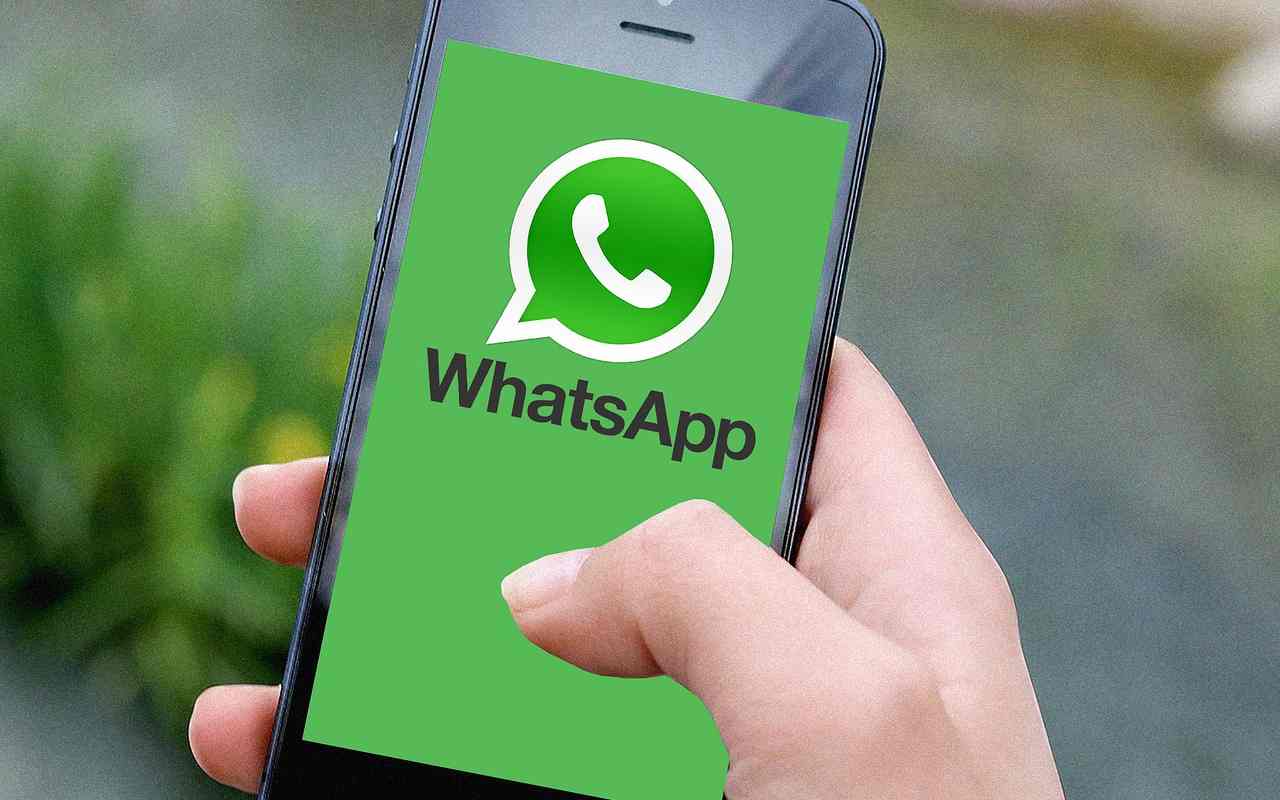 whatsapp novità