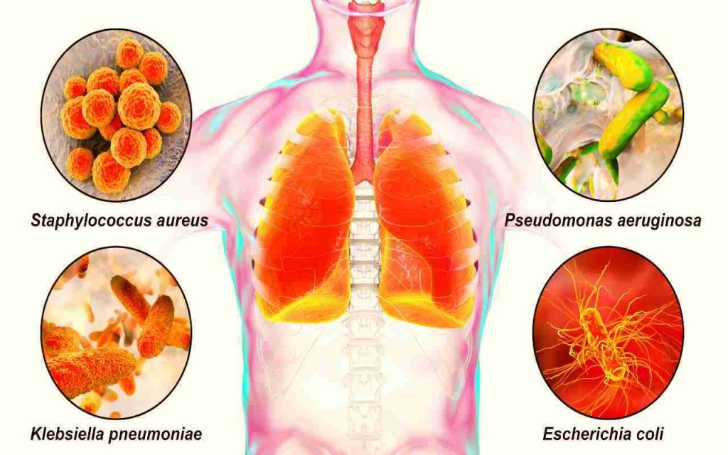 resistenza agli antibiotici test