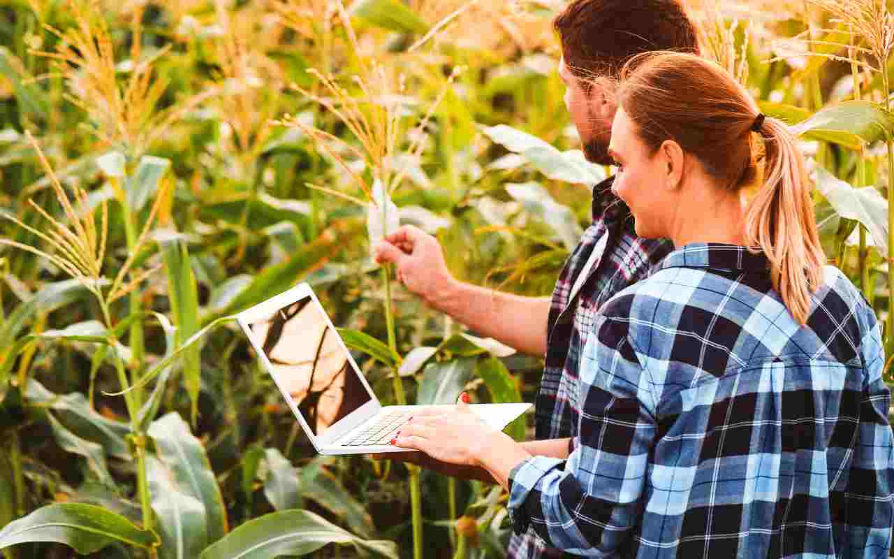 lavoratori agricoli