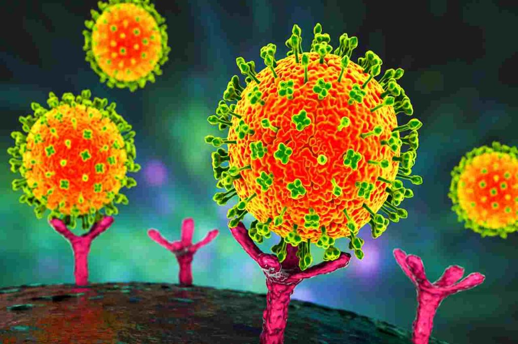 Langya il virus cinese Henipavirus
