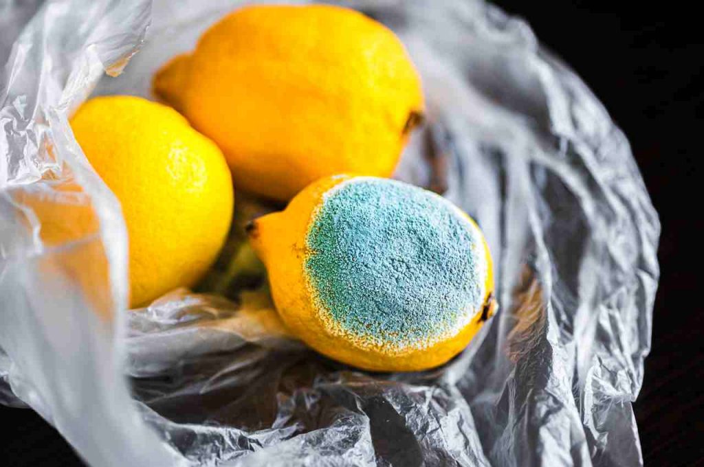 7 modi per evitare la muffa sui Limoni e mantenerli freschi e succosi a  lungo