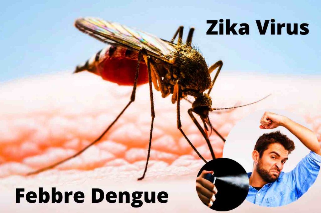 Virus e Zanzare