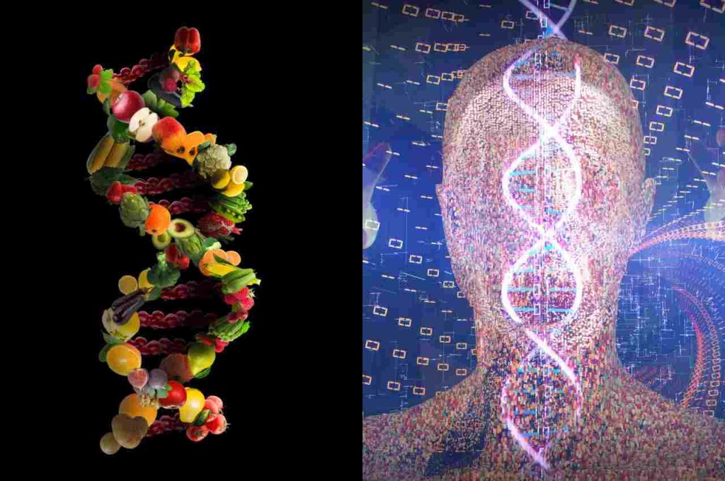 Dieta in base al DNA