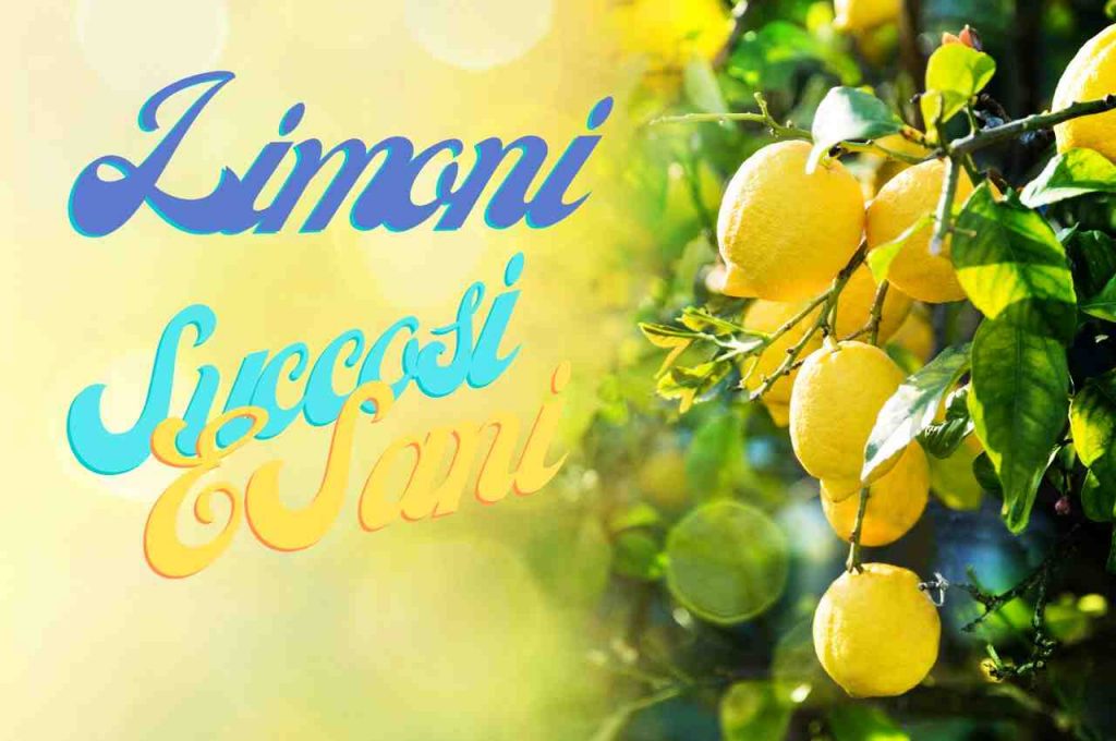 Limoni belli e succosi
