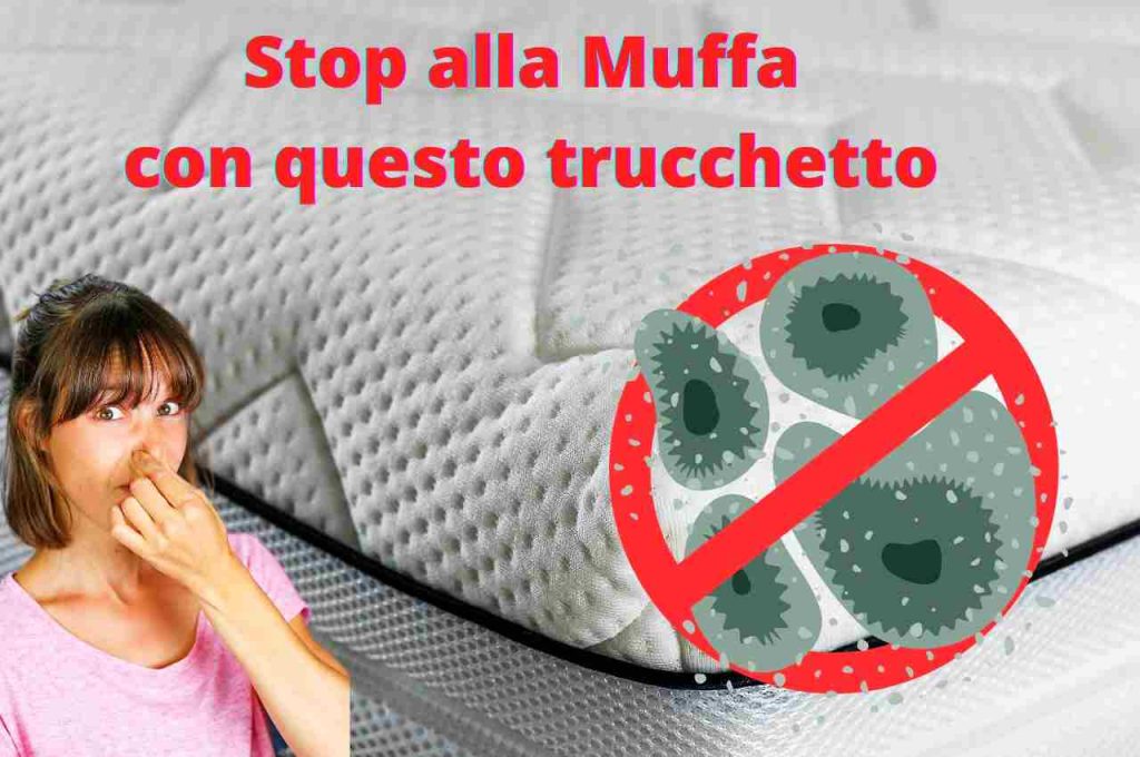 Muffa sul materasso