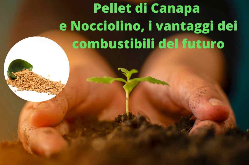 Pellet di Canapa e Nocciolino