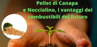 Pellet di Canapa e Nocciolino