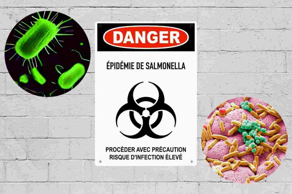 rischio Salmonella
