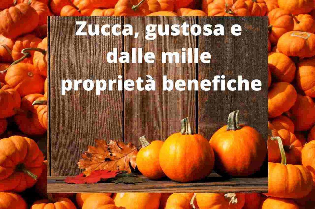 A cosa fa bene mangiare la Zucca