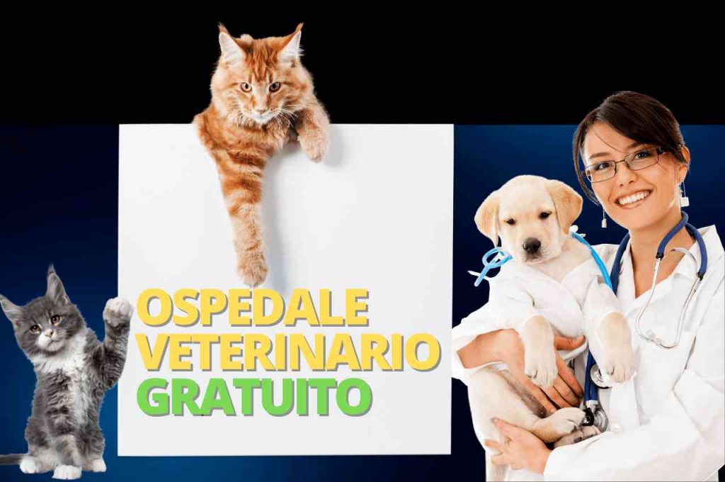 cure gratis animali