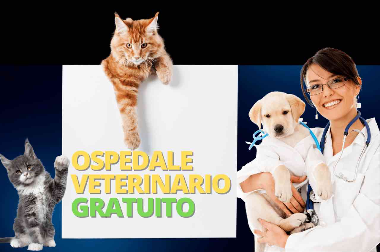 cure gratis animali