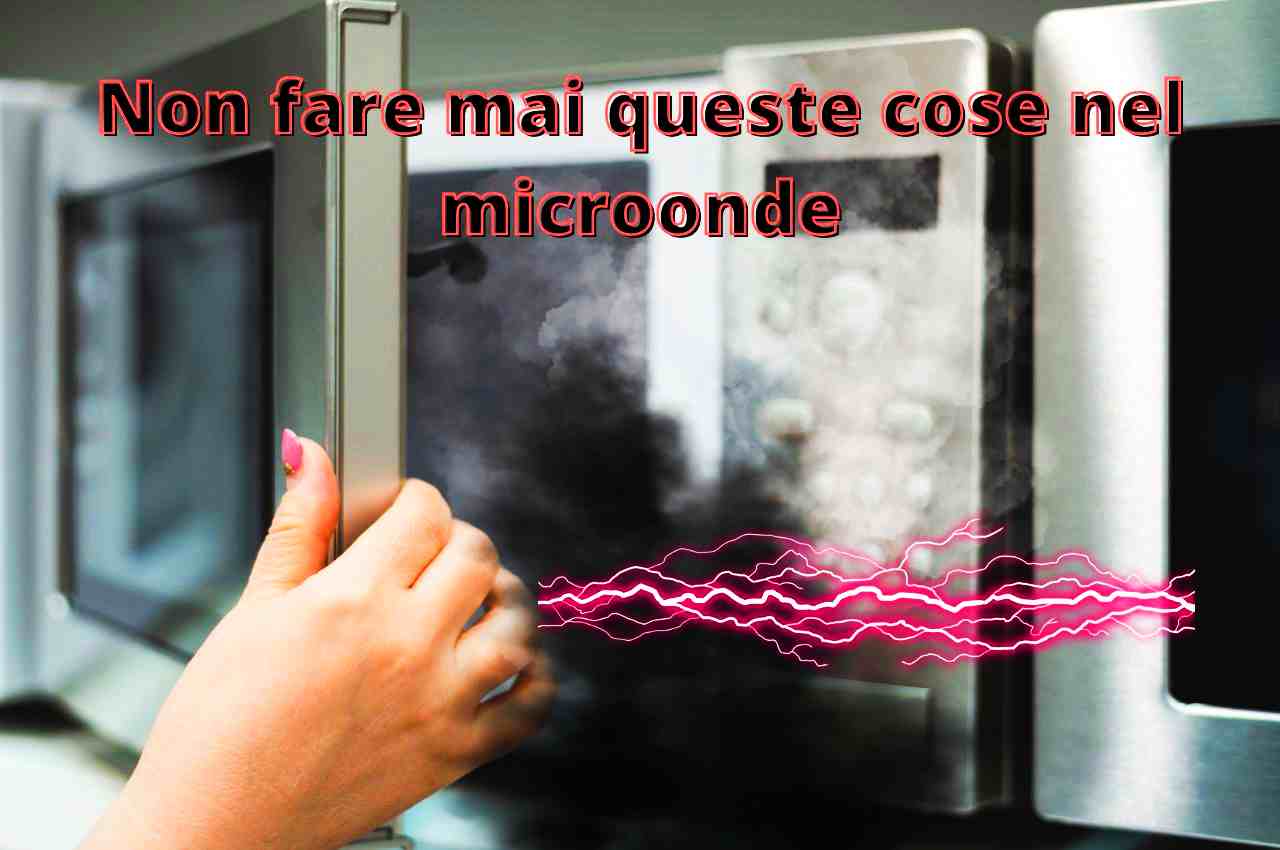 Il forno a microonde non danneggia il cibo e non causa tumori.