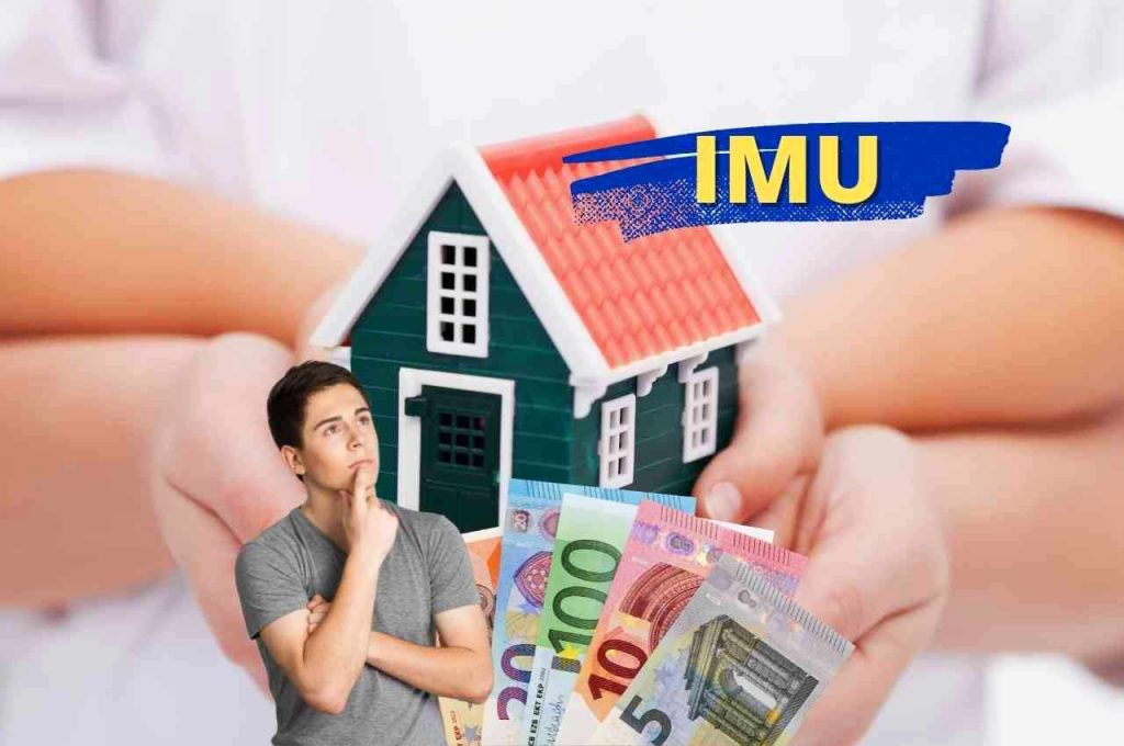 imu