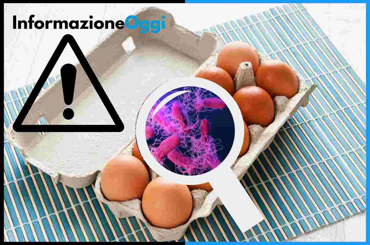 marchi di uova con salmonella