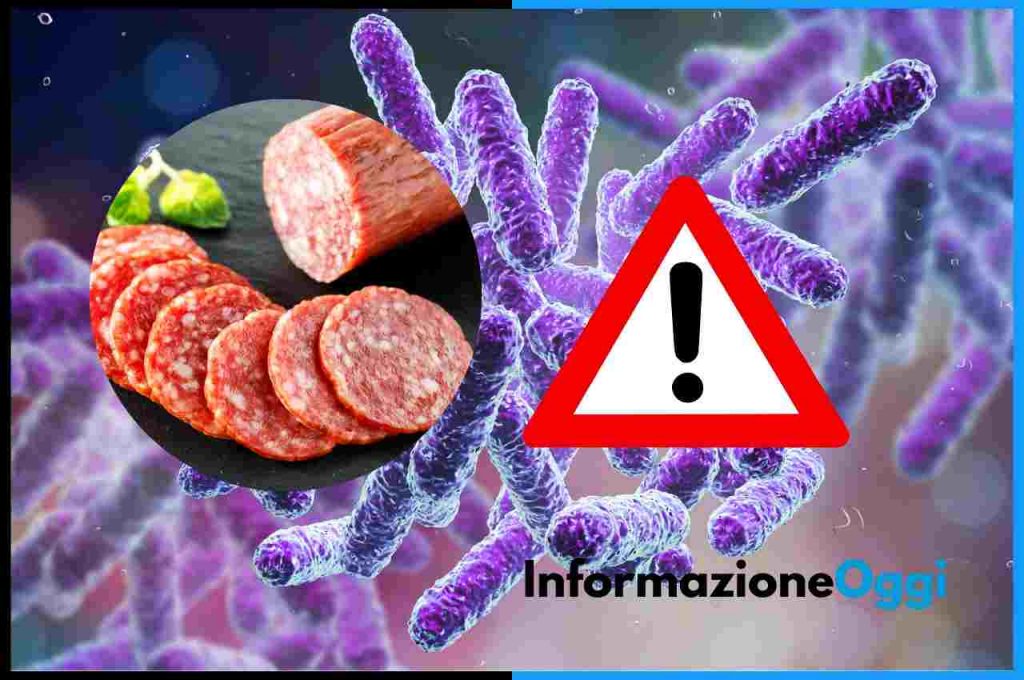 Salmonella nel Salame