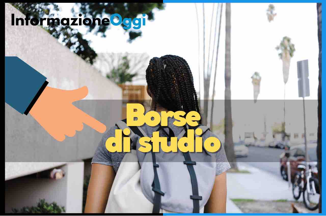 borse di studio