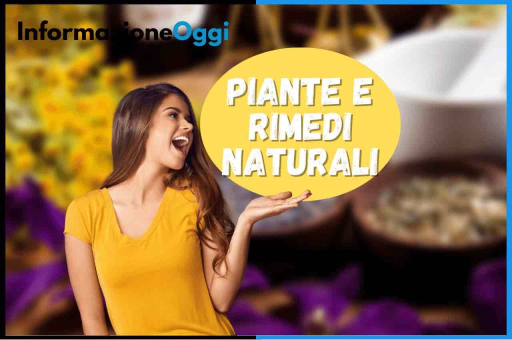 piante rimedi naturali