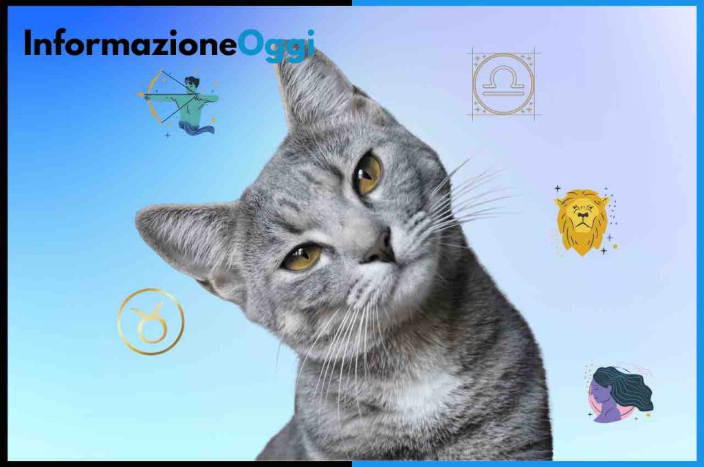 gatti segno zodiacale