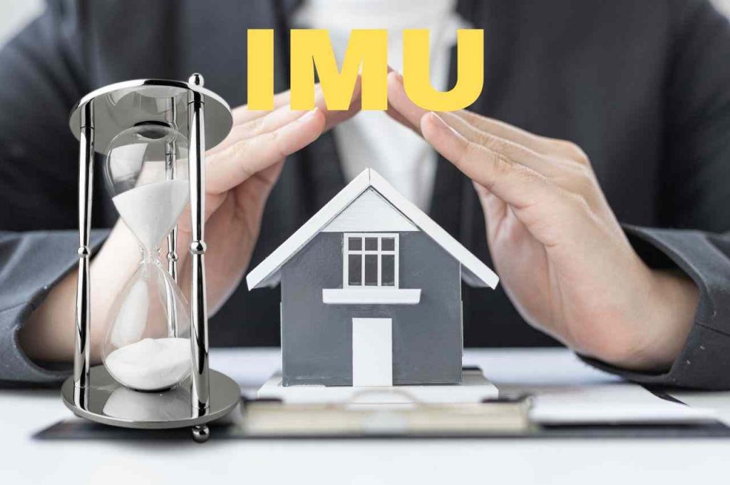 imu