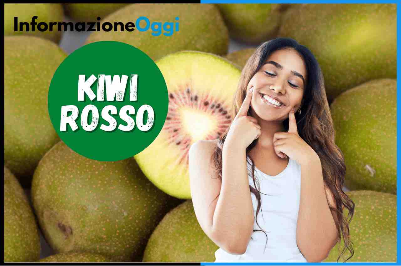 kiwi rosso