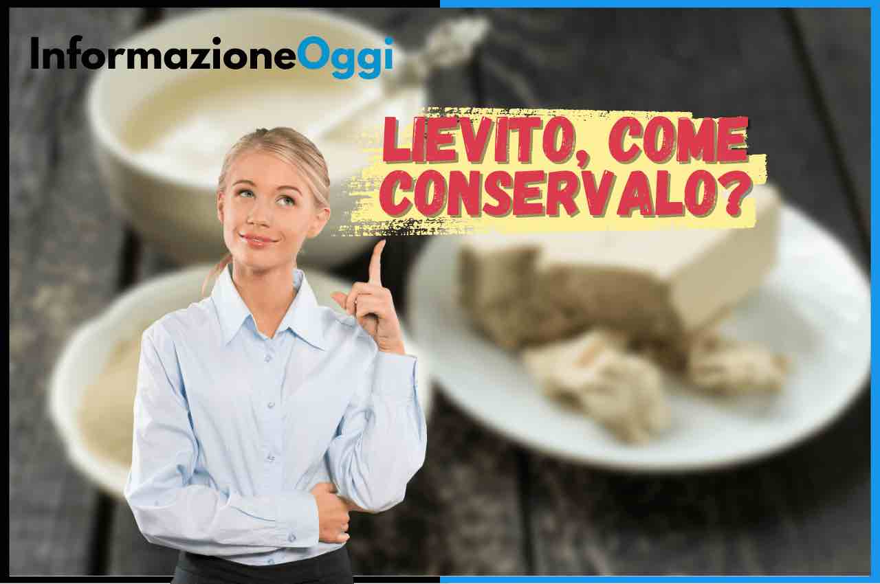 lievito di birra come conservarlo