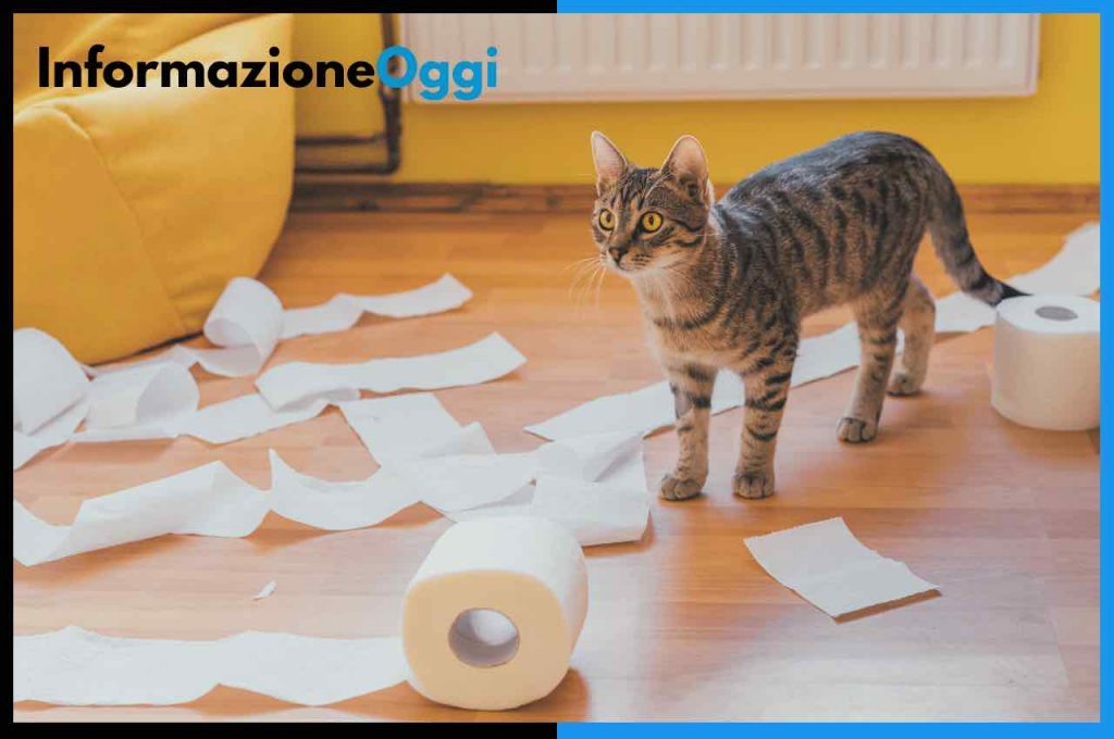 gatto carta igienica
