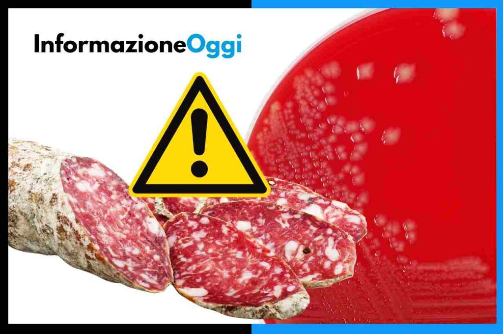 Salmonella spp nel Salame