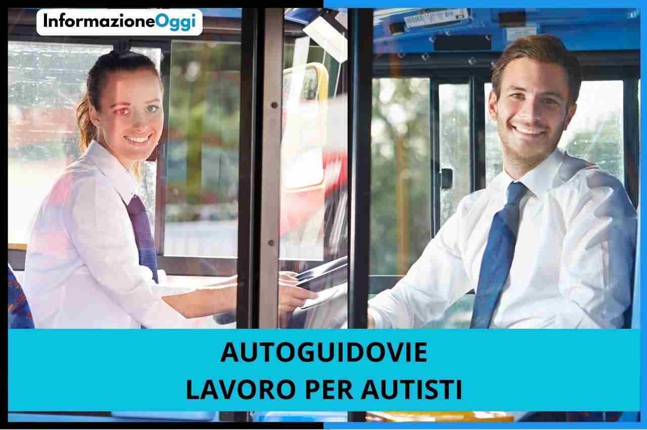 lavoro autisti