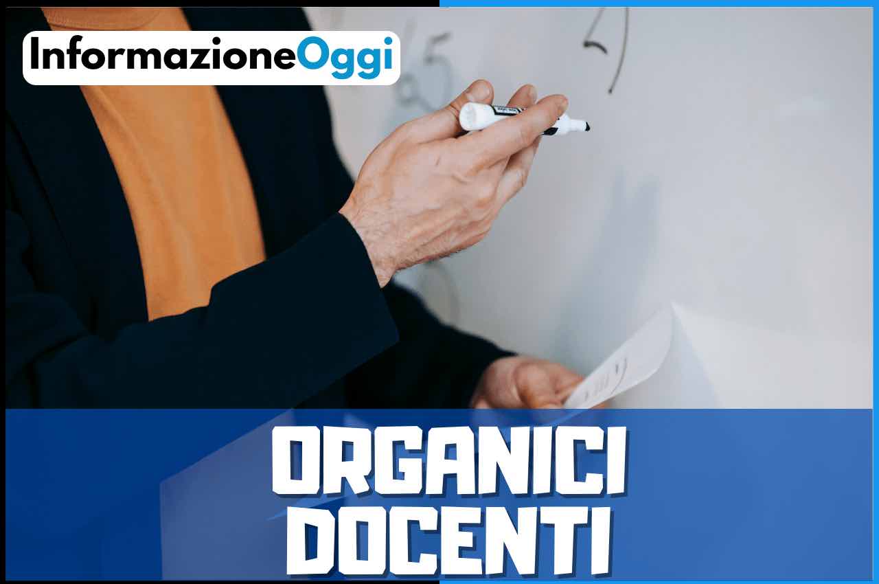 organici docenti