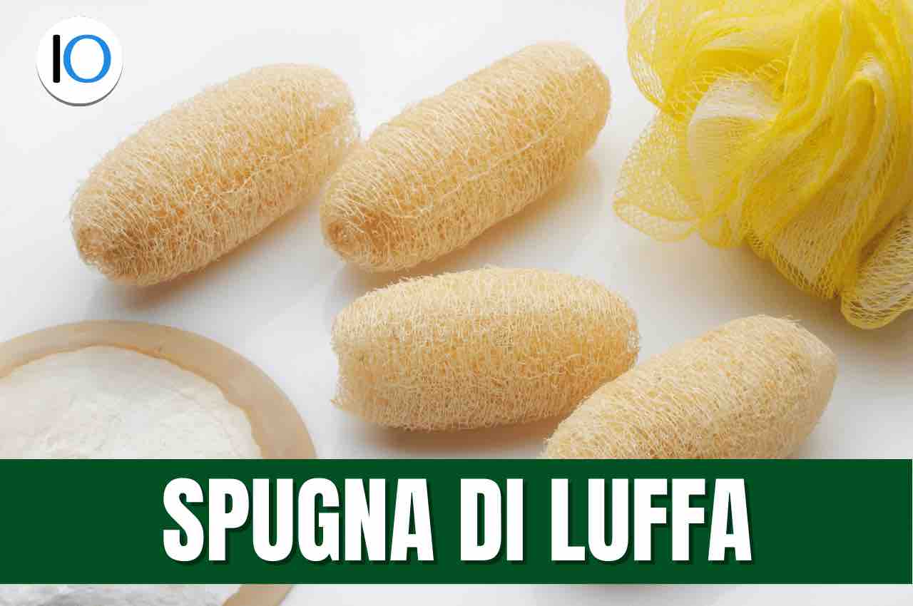 Spugna di luffa