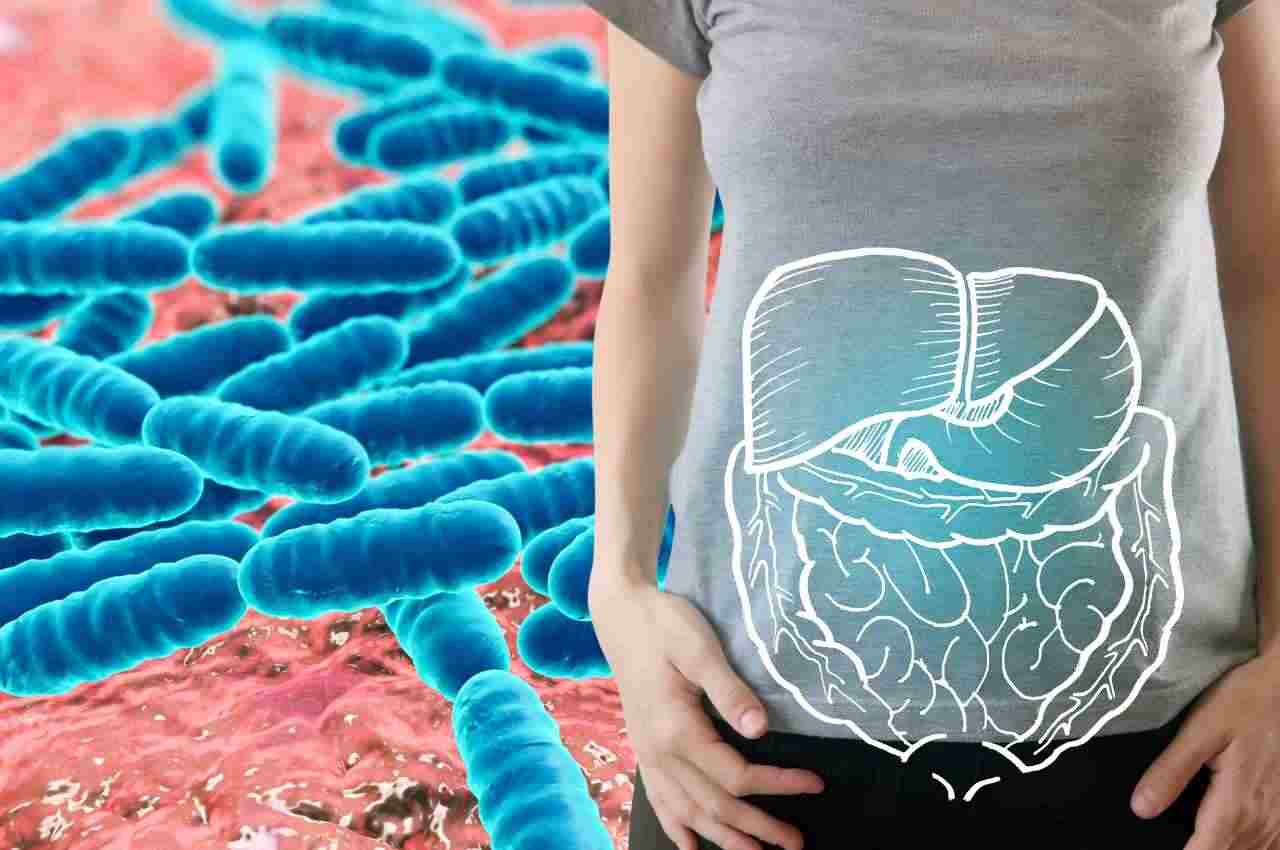 Dermatitis, obesity and cholesterol, did you know they are treated with probiotics?  How to choose the right ones