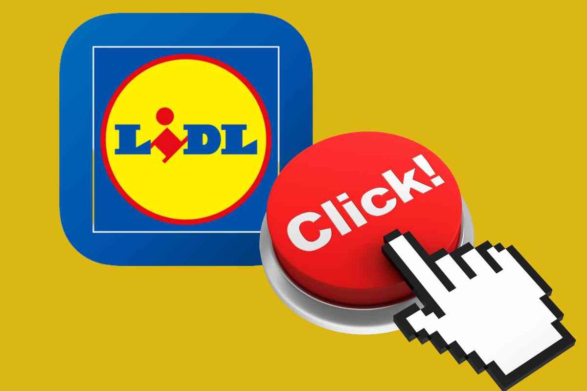 Assunzione LIDL posizioni aperte 