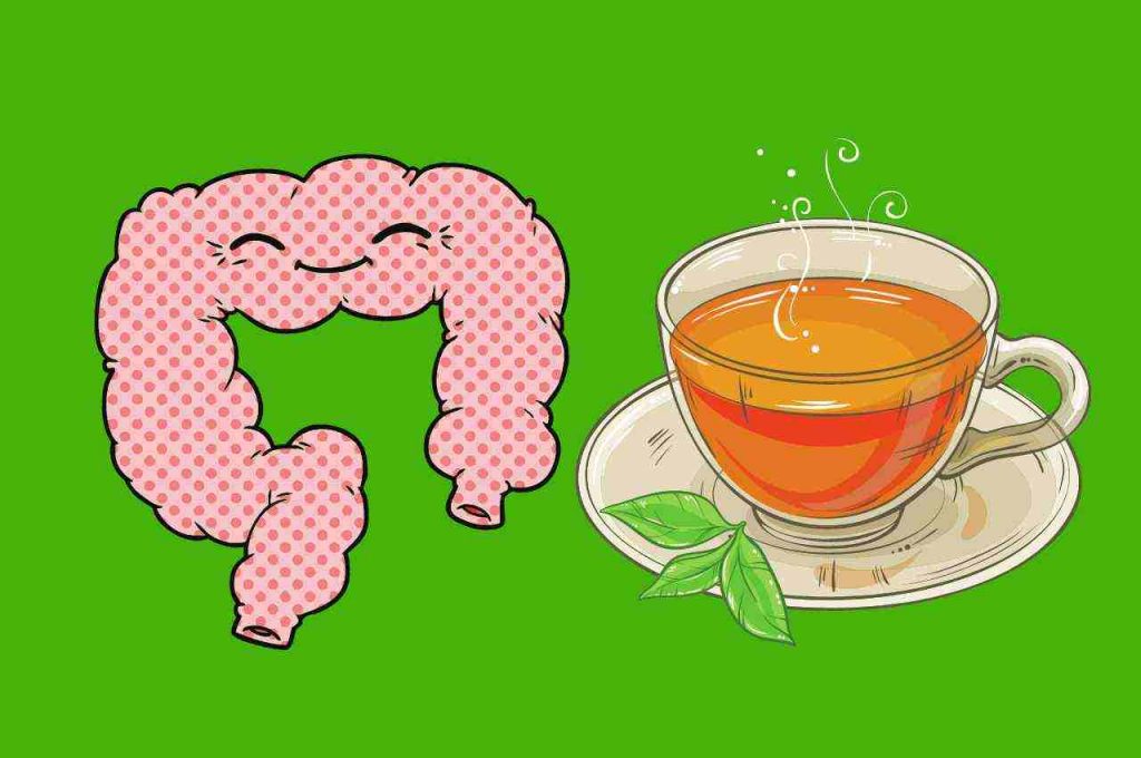 tisane per depurare il colon