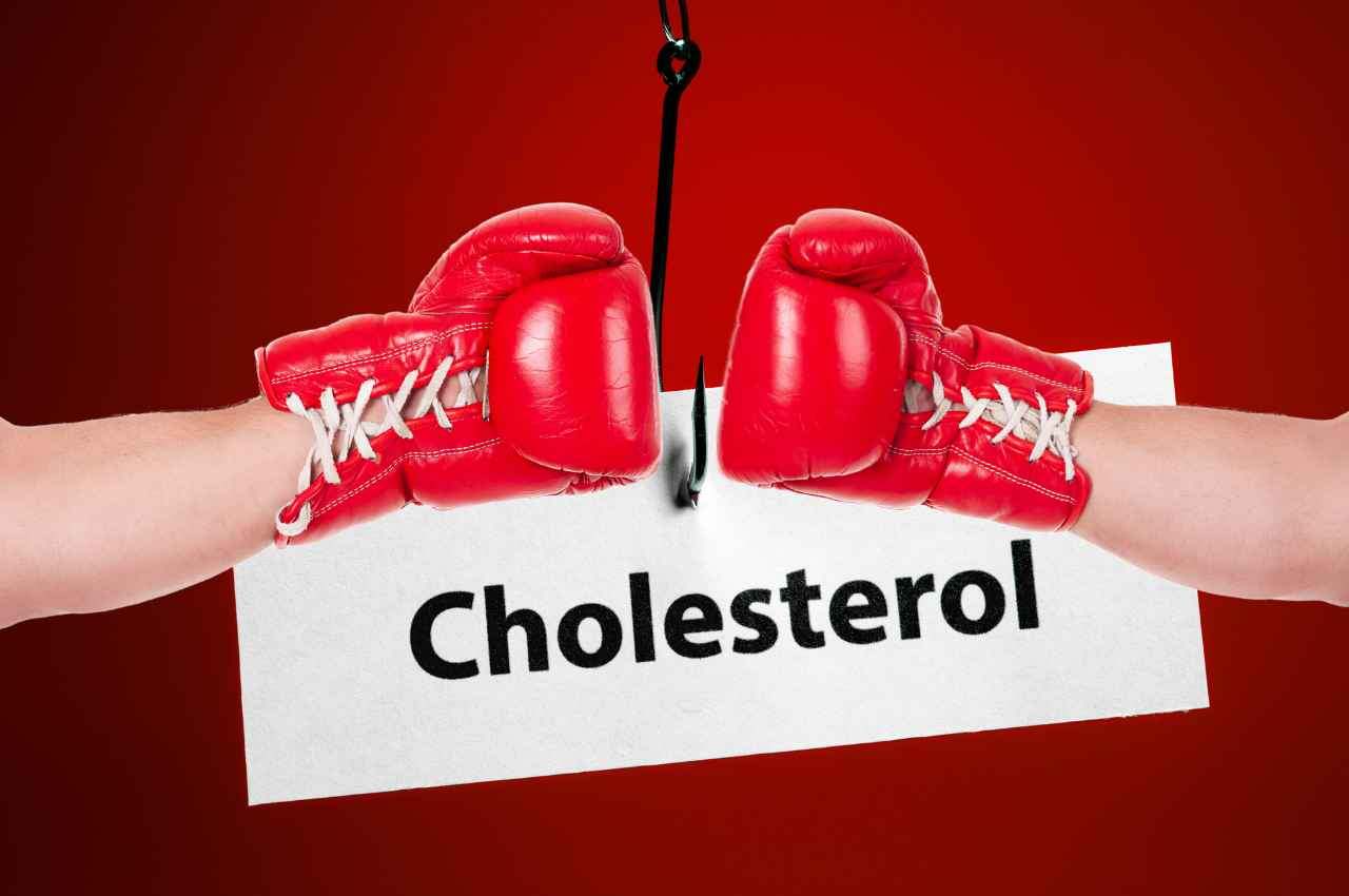 combattere il Colesterolo LDL