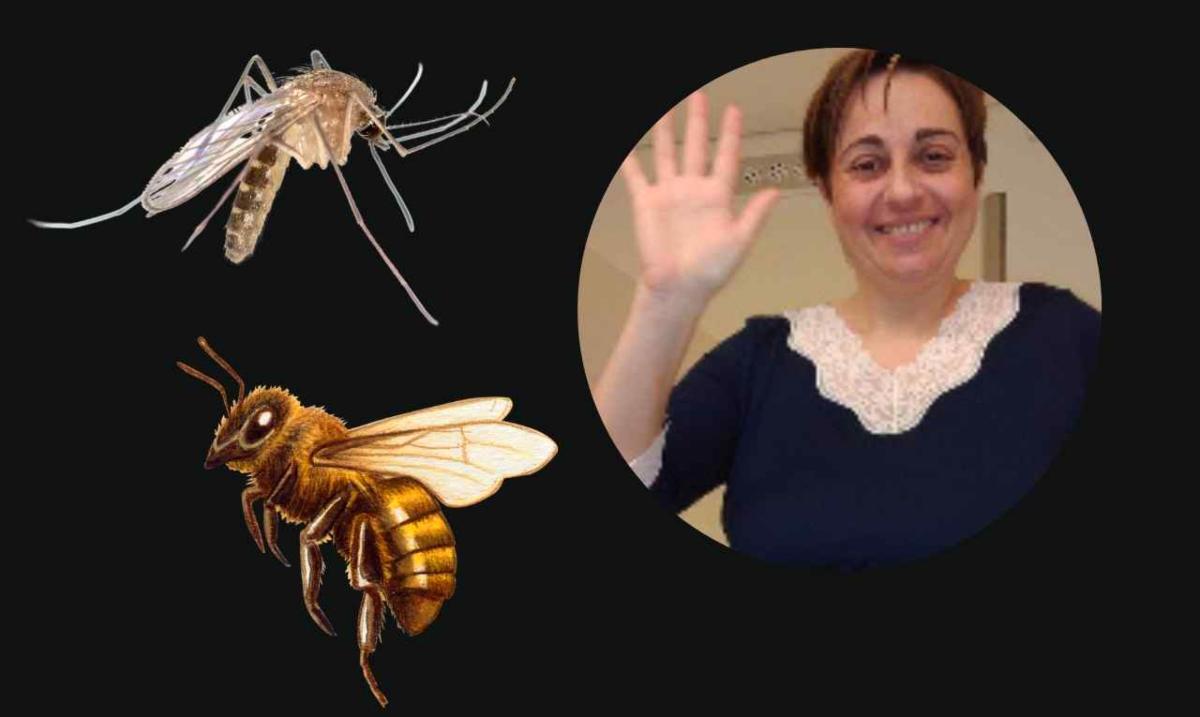 Zanzare, api e vespe via per sempre grazie ai trucchi di Benedetta Rossi 