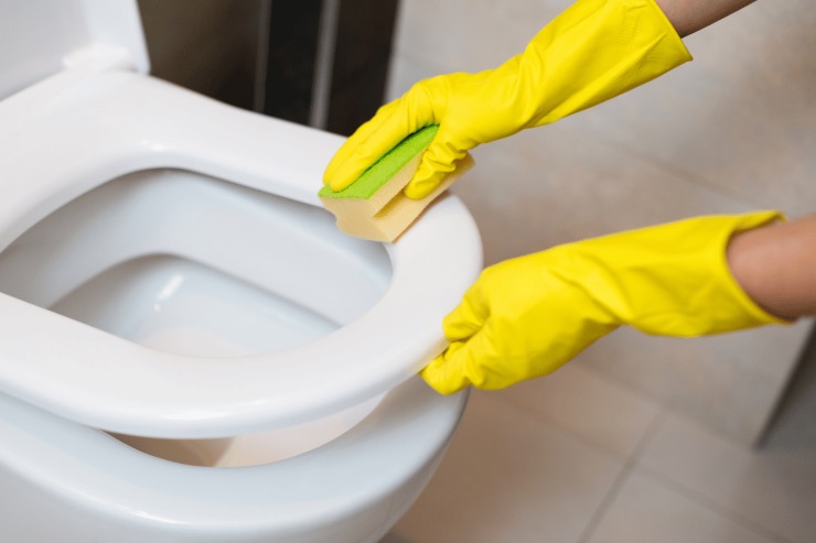 Addio calcare dal WC: ecco gli ingredienti da utilizzare