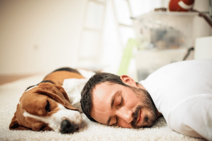 Fare un pisolino dopo pranzo fa bene? Ecco la risposta