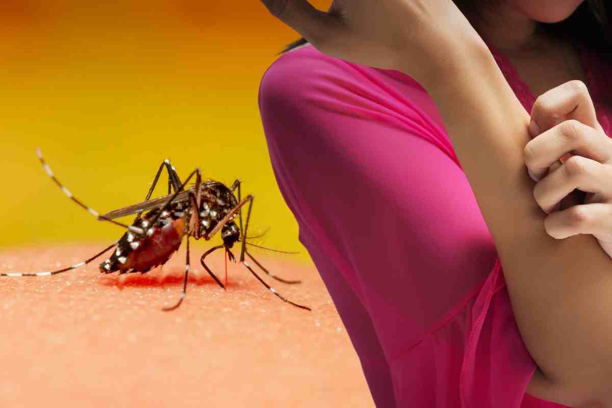 Punture zanzare: repellente naturale