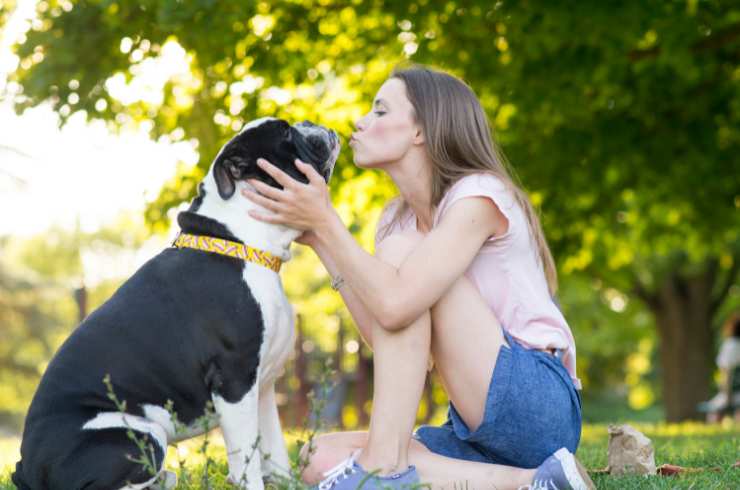 Bacio in bocca ai cani: rischio infezioni
