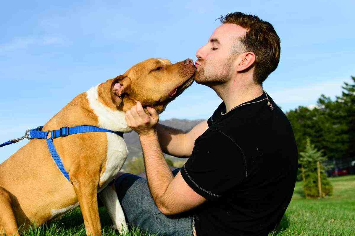 Bacio in bocca ai cani: rischio infezioni