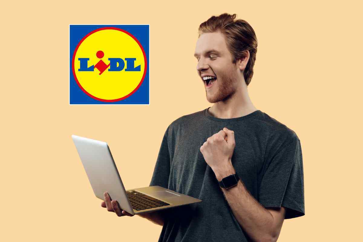 LIDL assume posizioni aperte