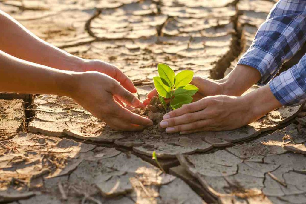 Ansia climatica: ecco alcuni consigli utili per combatterla