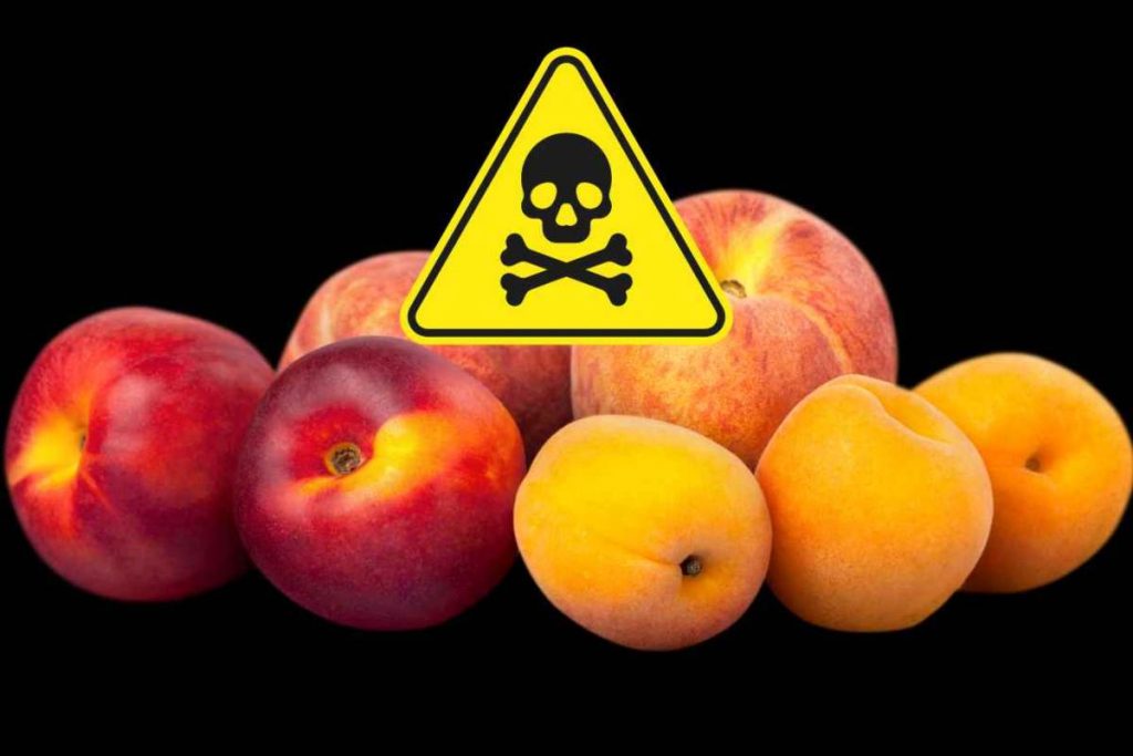 per ogni boccone di frutta tanti pesticidi