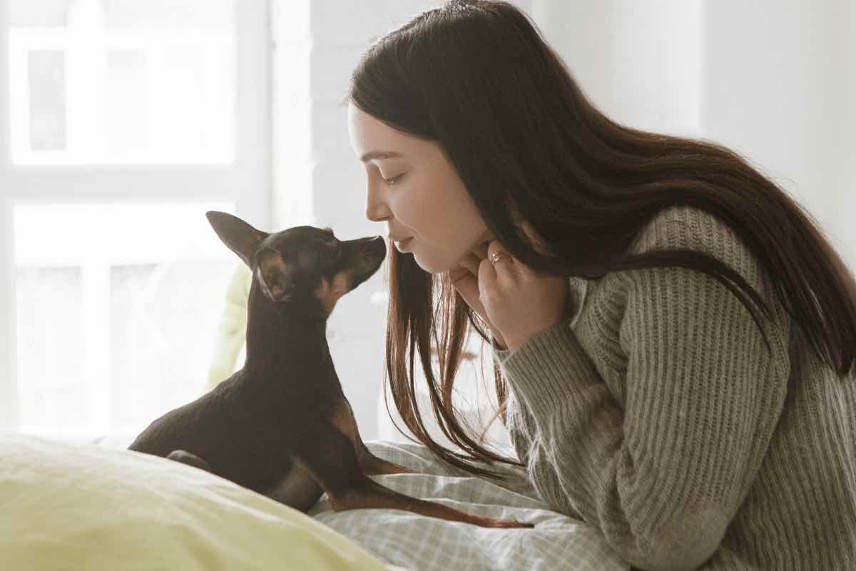 É verdade que os cães choram de felicidade?  Aqui está o que a ciência diz sobre isso